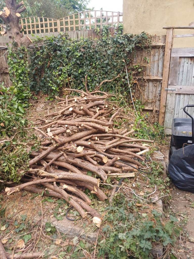 Tree logs/branches