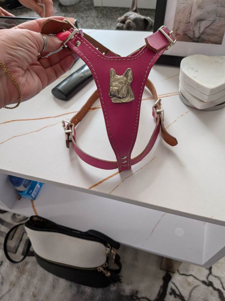 French bulldog harness 