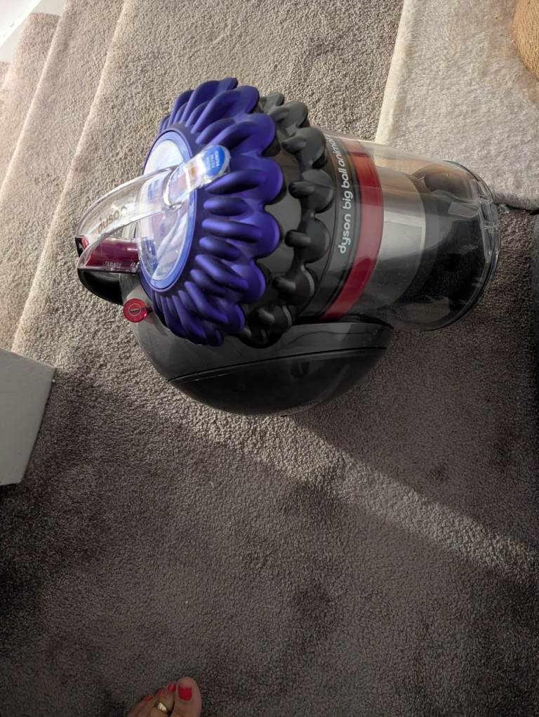 Dyson animal cylinder badless hoover 