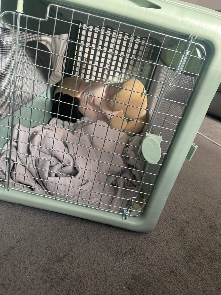 Pop up dog crate 
