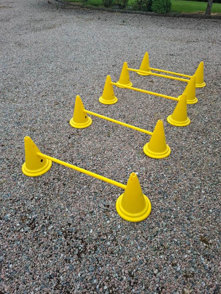 Dog agility training jumps
