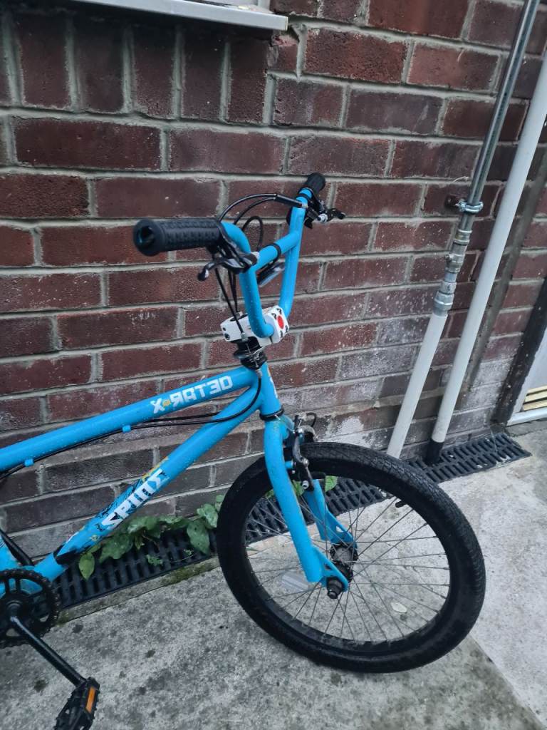 X-RATED SPIN BMX bike in blue