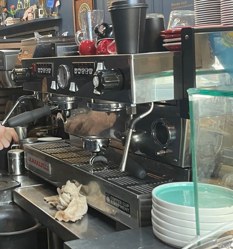 La Marzocca coffee Machine 