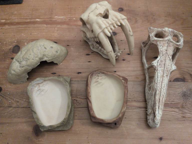 Water bowls, hide and 2 x Skull decor. 