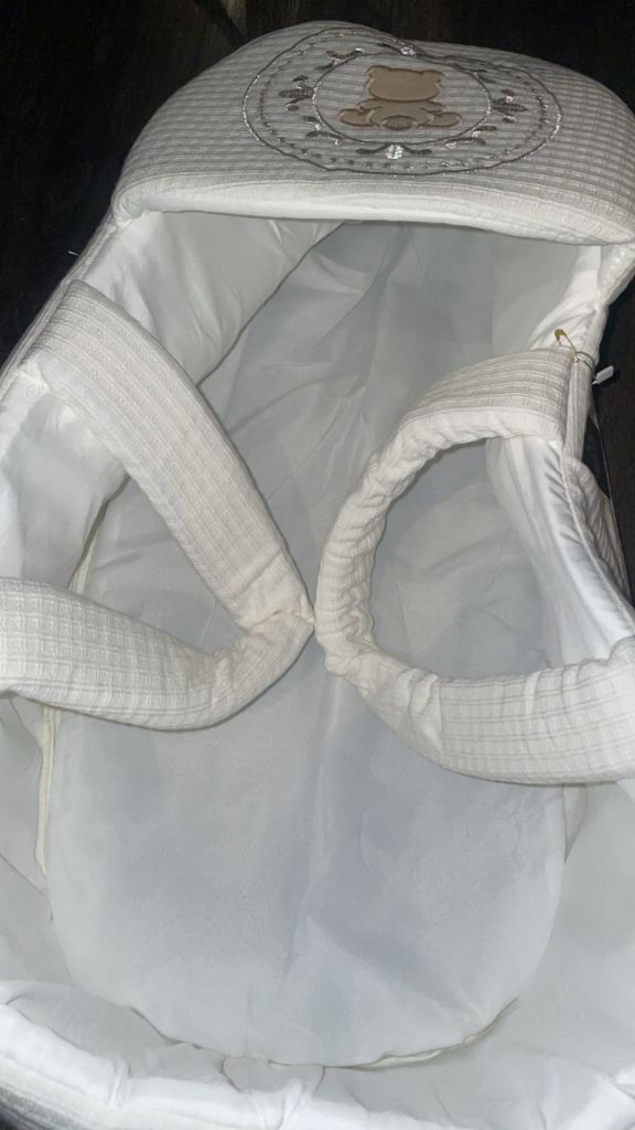 Mini chicks Moses basket 