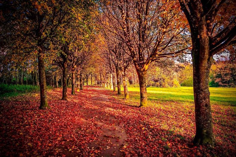 Wanted 3/4 bedroom house waterside long term 