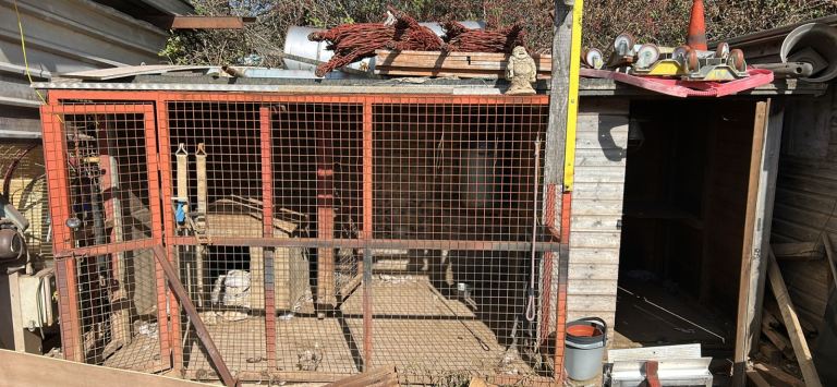 Dog pen 