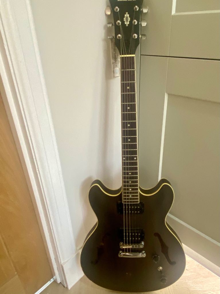 Ibanez Electric Guitar
