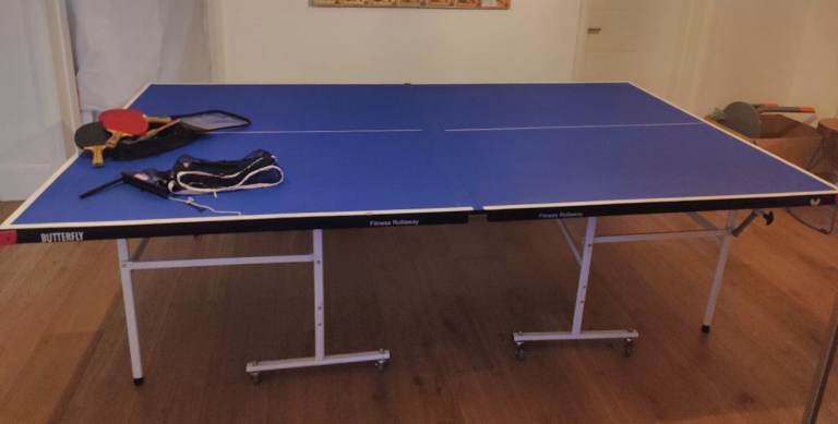 Butterfly Fitness Indoor Table Tennis Table
