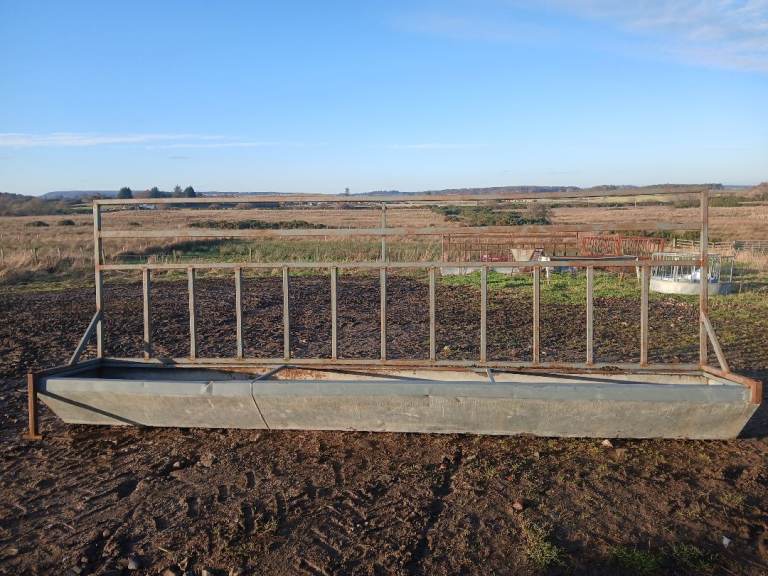 Cattle trough feeders 