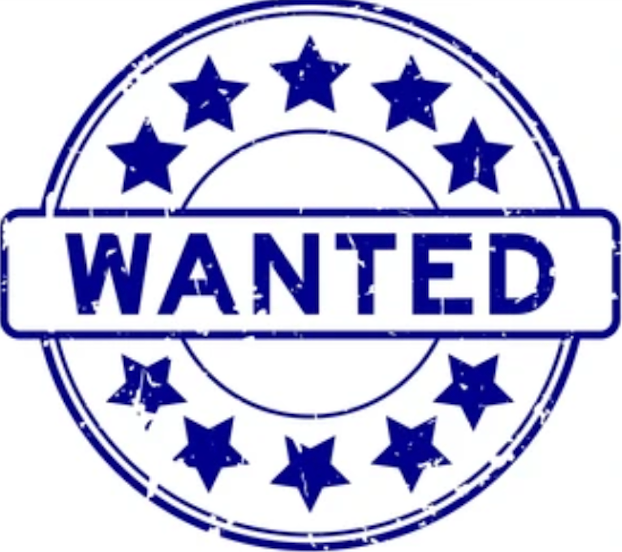 Studio Flat Wanted in the Paddington Area