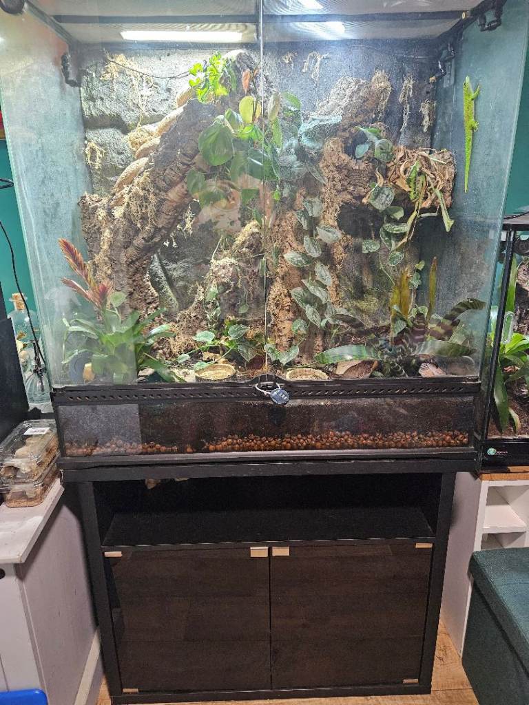 90x90 terrarium/vivarium and stand FULL SET UP 