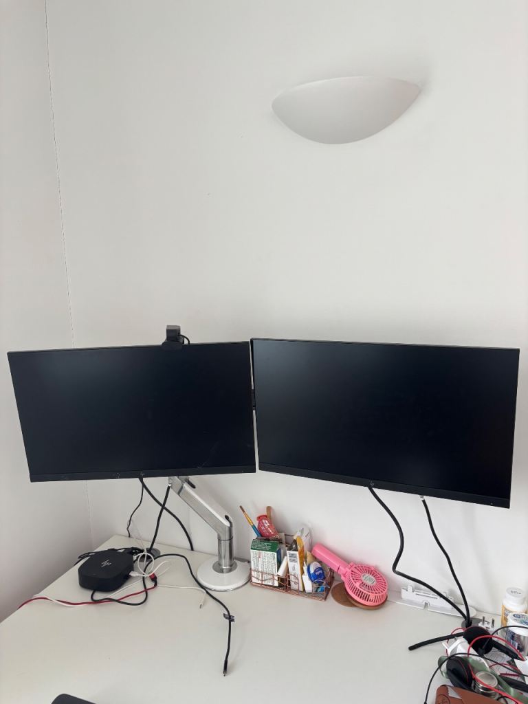 HP E24 G4 FHD Monitors (x2) + Premium Dual Monitor Arm