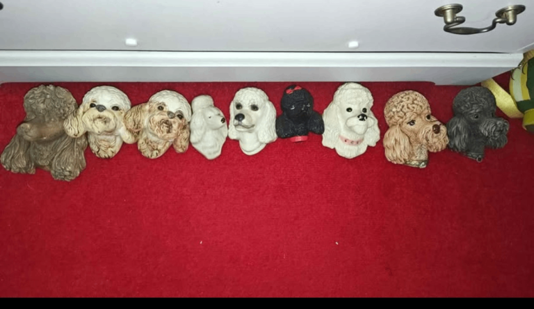 21 Poodle Head Wall Plaques. Bossons, Ensco, Legends ect. Vintage