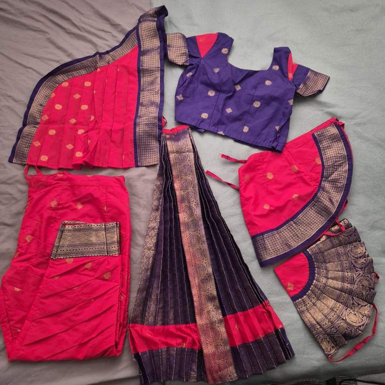 Bharathanatiyam dress / Indian dance costume