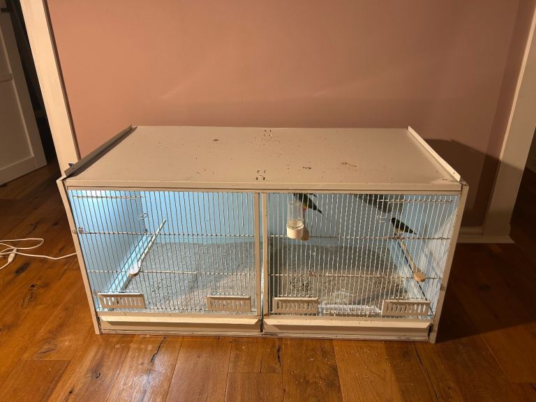 Budgie, Canaries, Finches cage 