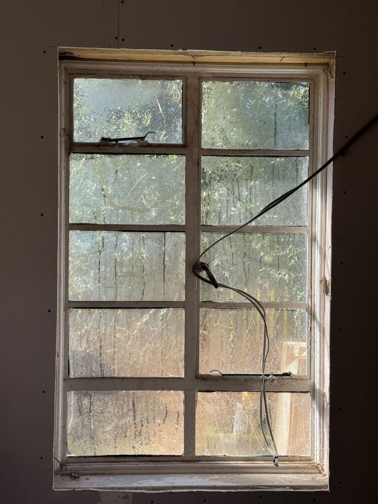 crittal windows 1920s