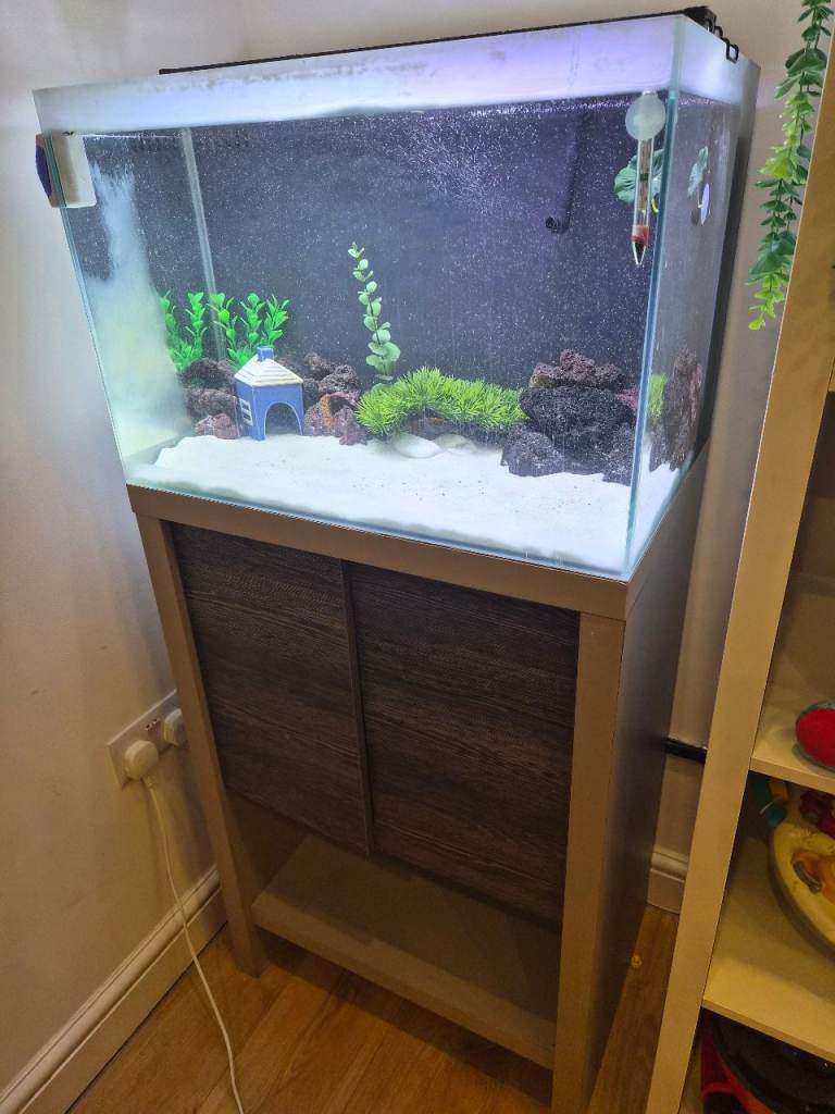 Fish tank with stand 