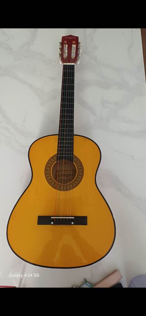 GUITAR- MARTIN SMITH 