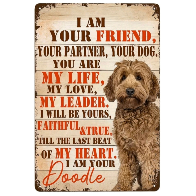 Doodle Dog Metal Tin Sign – Wall Plaque 20cm x 30cm 📮 postage available 📮 