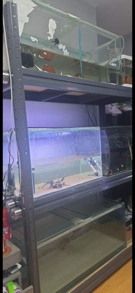 Aquarium system setup