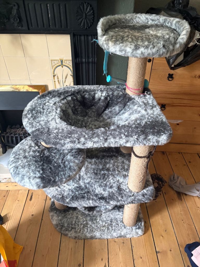 Cat tree and toys 