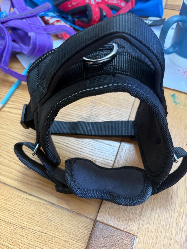 Pets at home dog harness 