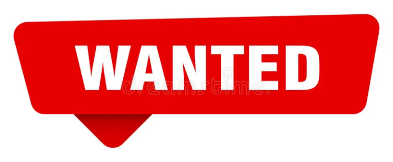  **** INVESTOR WANTED ****