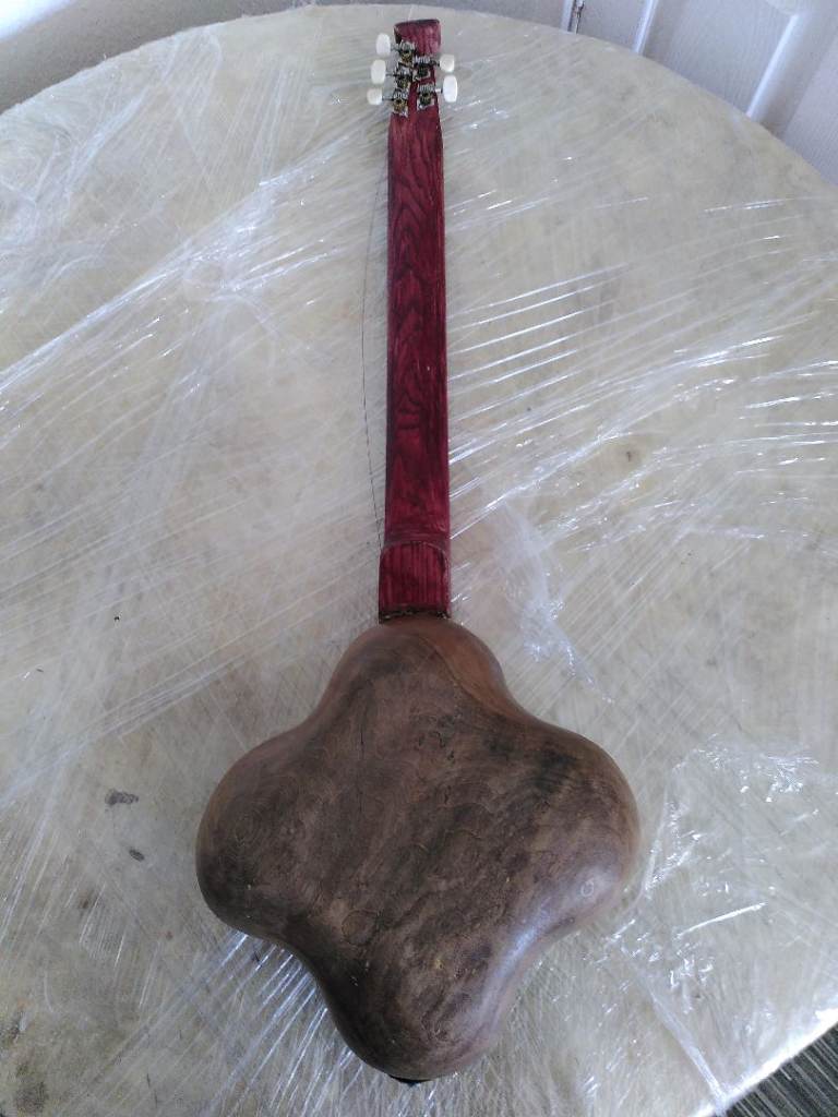 Unique Wooden String Instrument – Hand-Carved Detail
