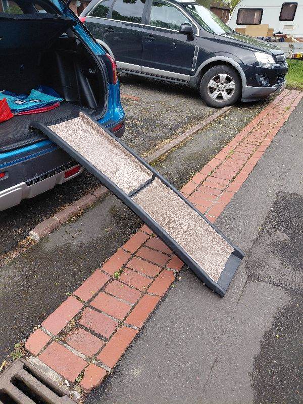 Dog ramp
