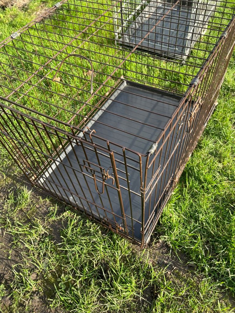 Dog cages for sale 