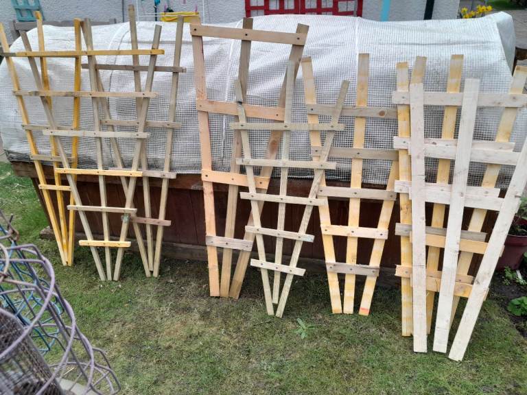 Garden trellises 