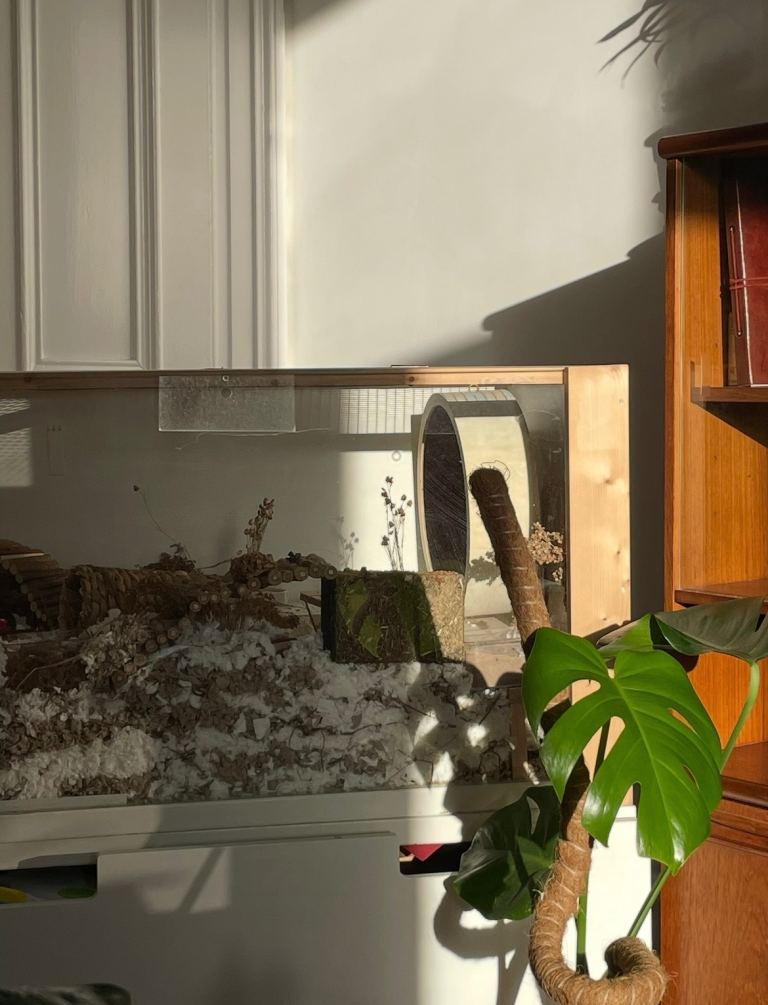 Large ikea hamster cage + storage drawer + accessories/bedding/food