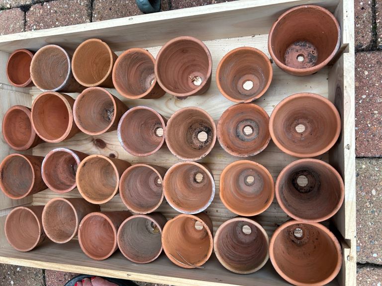 Selection of small and medium vintage terracotta pots