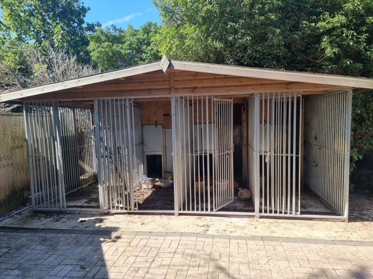 Large Dog Kennels 