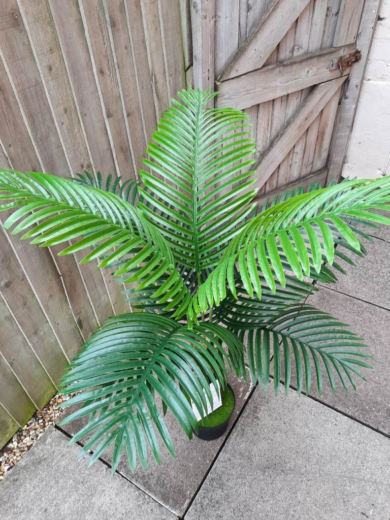 Beautiful artificial palm plant. 