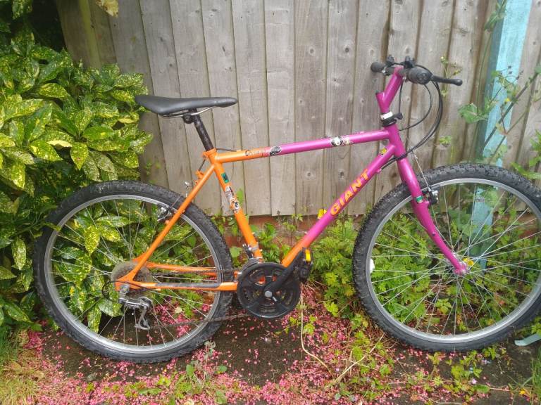 Giant Chicago Mountain Bike - Retro Multicoloured MTB