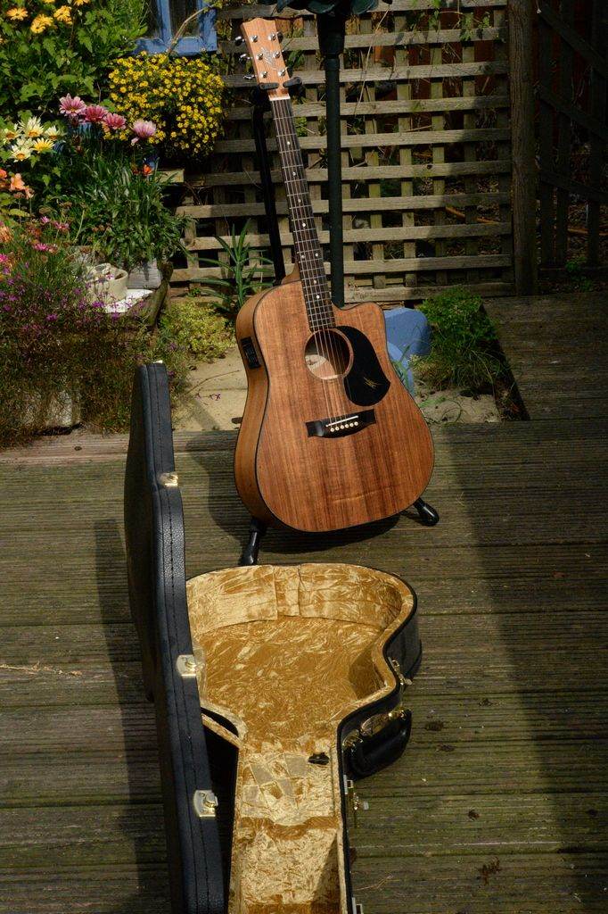 Maton Blackwood EBW70C