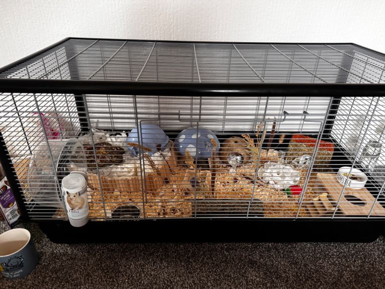 Savic Plaza 100 Hamster Cage – Great Condition! 