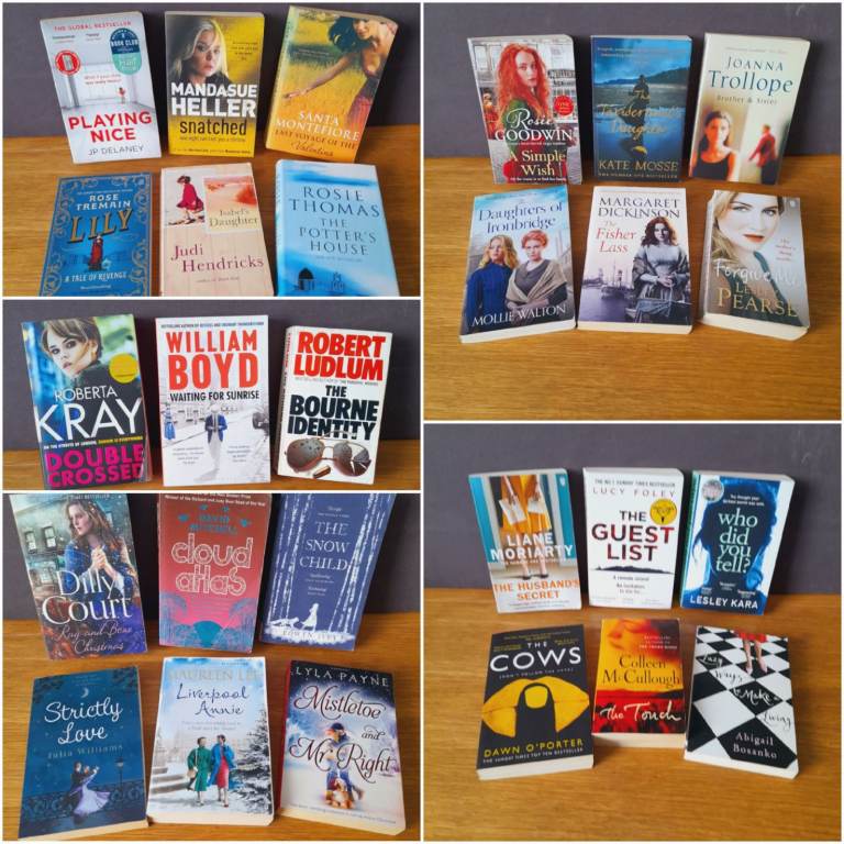 Large Bundle 27 Adult Fiction Books Novels