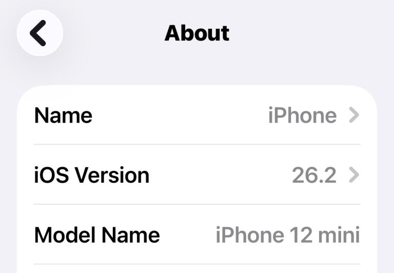 USED iPhone Mini 256GB