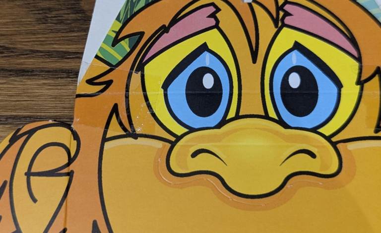 BUNDLE OF KIDS ADULTS PARTY HATS LOOT BAGS BALLOONS TABLECOVER NAPKINS FOOD BOXES