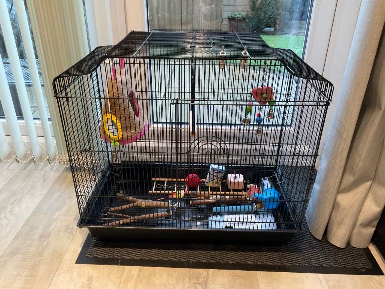 Budgie Cage with lots of items 