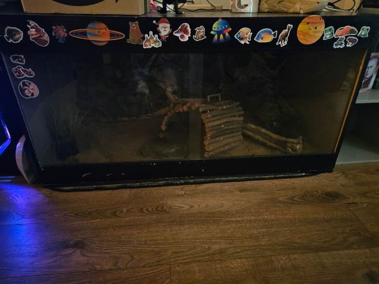 Reptile vivarium and acessories
