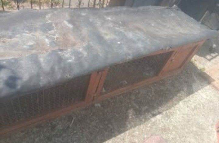 Outdoor animal hutch
