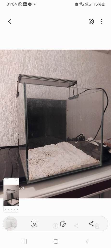 Fish tank 