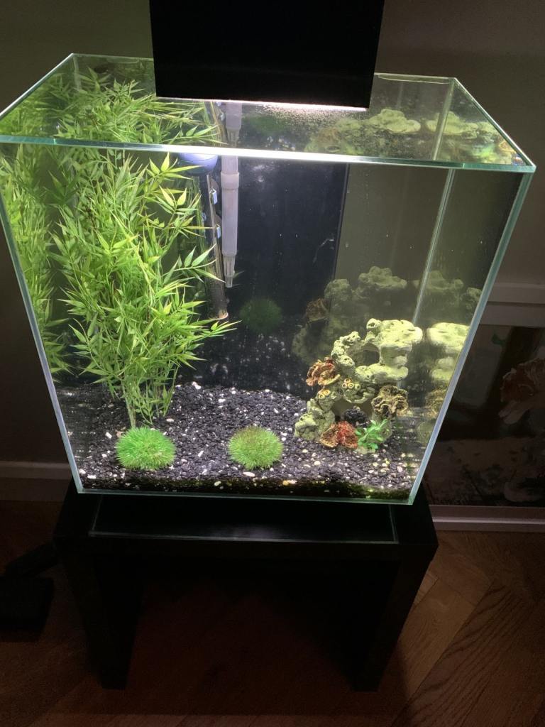 Fluval Edge 46l