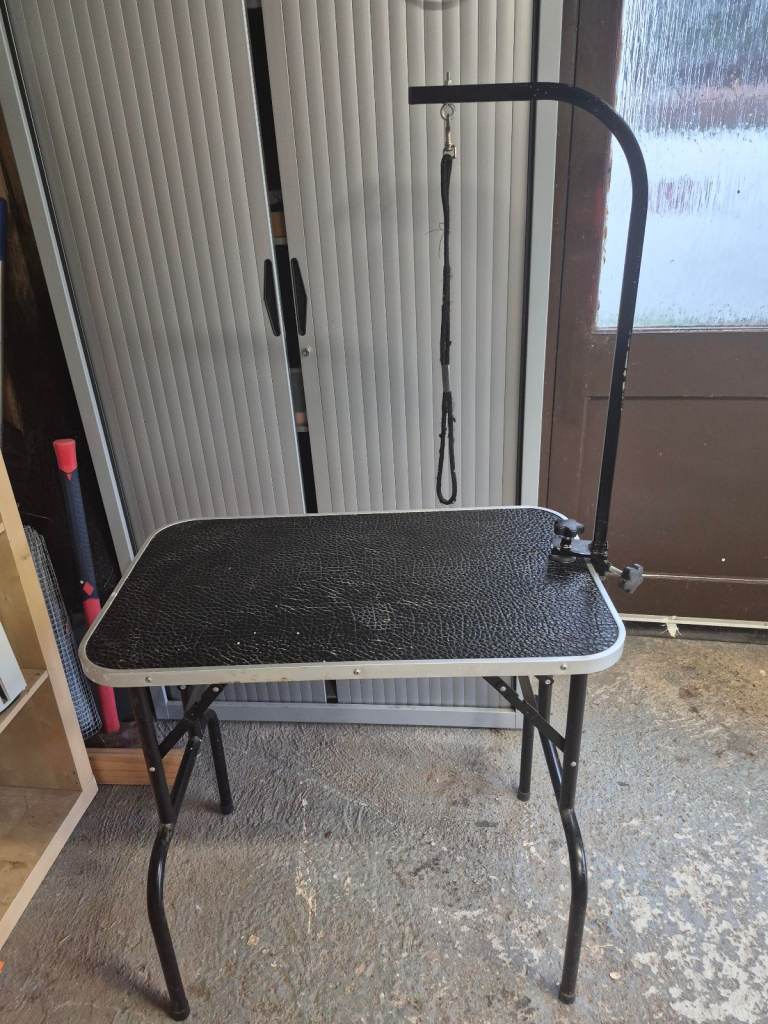 Dog Grooming Table
