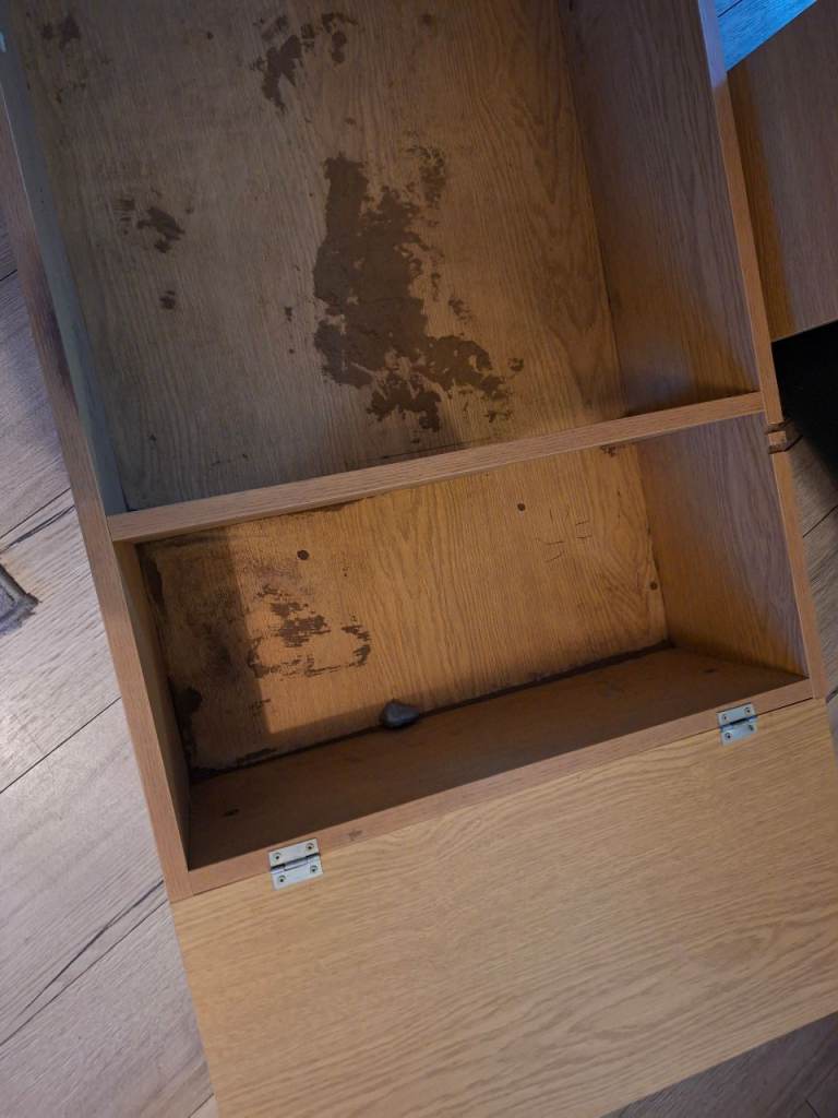 Tortoise enclosure 🐢