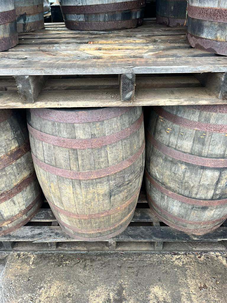 image for Oak bourbon barrels